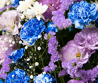 blue_purple